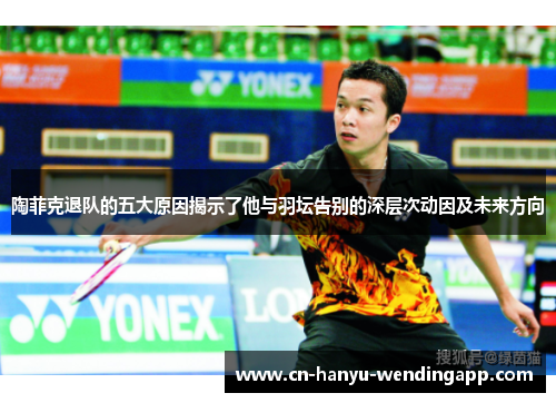 陶菲克退队的五大原因揭示了他与羽坛告别的深层次动因及未来方向