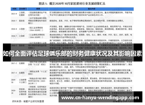 如何全面评估足球俱乐部的财务健康状况及其影响因素