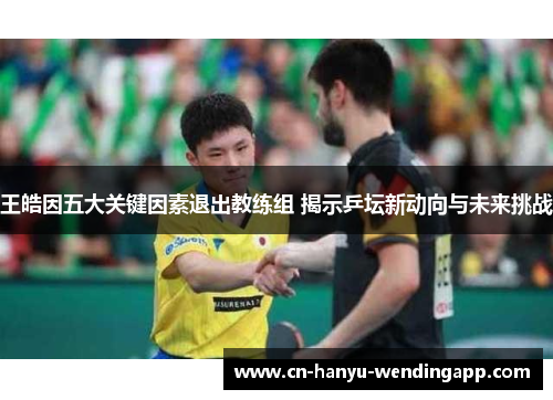 王皓因五大关键因素退出教练组 揭示乒坛新动向与未来挑战