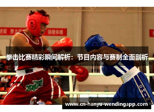 拳击比赛精彩瞬间解析：节目内容与赛制全面剖析